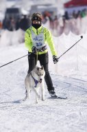 Lenk 2013